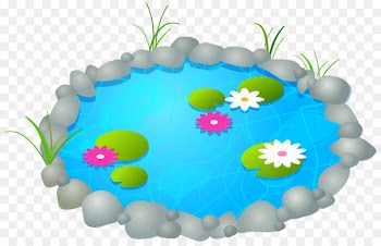 Pond, Fish Pond, Koi Pond, Cake Decorating Supply, Cake Decorating PNG