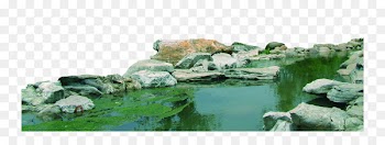Pond Shore u8fceu5ba2u677e - Lake shore 
