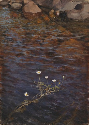 Pond water crowfoot ; pond | Free Photo - rawpixel
