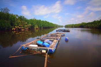 Pontoons on Body of Water