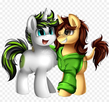 Pony Horse Equestria Daily Clothing Hoodie -  