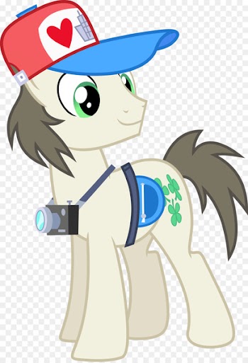 Pony Horse Shining Armor Rainbow Dash Big McIntosh - horse 