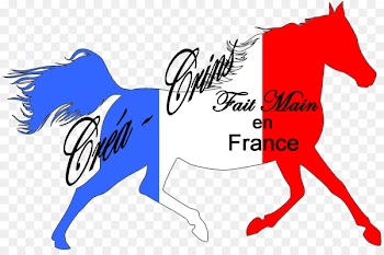 Pony Mustang Illustration Silhouette Scalable Vector Graphics - mustang 