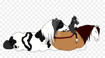 Pony Mustang Stallion Colt Dog - mustang 