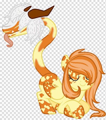 Pony Pumpkin pie spice Cinnamon, pumpkin transparent background PNG clipart