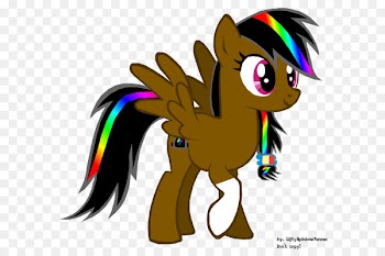 Pony Rainbow Dash Twilight Sparkle Rarity Sunset Shimmer -  