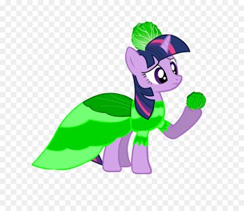 Pony Twilight Sparkle Princess Cadance Rarity Rainbow Dash - cabba vector 