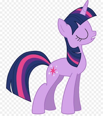 Pony Twilight Sparkle Rainbow Dash Rarity Pinkie Pie - My little pony 