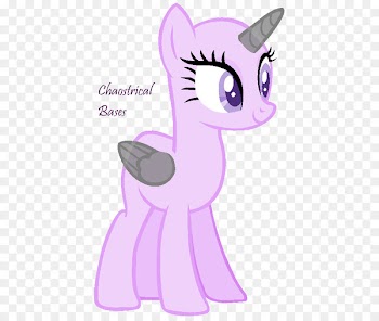 Pony Whiskers Rainbow Dash Pinkie Pie Kitten - kitten 