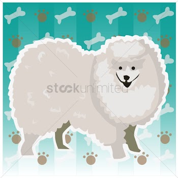 Poodle dog