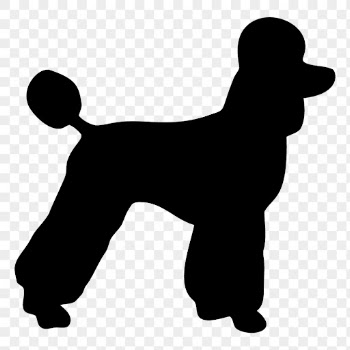 Poodle dog png sticker animal | Free PNG - rawpixel