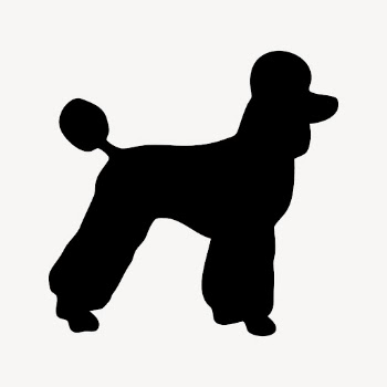 Poodle dog silhouette clipart, animal | Free Vector - rawpixel