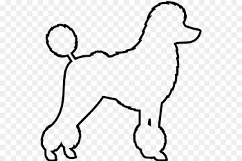 Poodle, Drawing, Line Art, Mammal, Vertebrate PNG