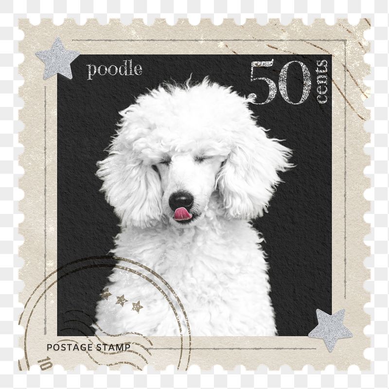 Poodle png post stamp sticker, | Free PNG - rawpixel
