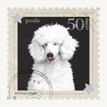 Poodle postage stamp, animal collage | Free PSD - rawpixel