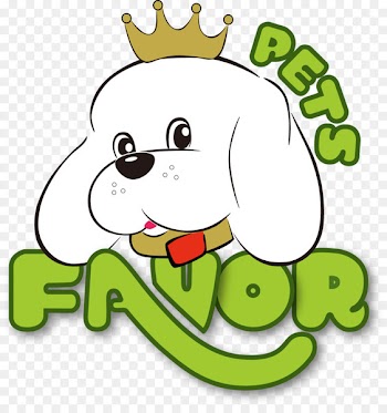 Poodle Puppy Pet Shop Standard Schnauzer - beauty school 