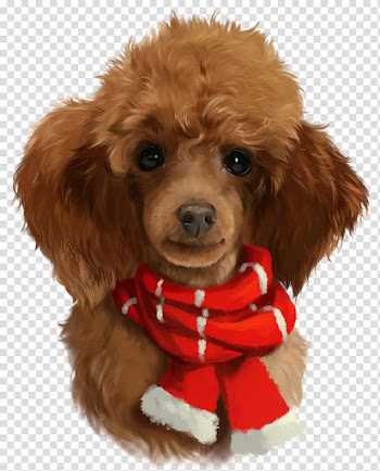 Poodle Watercolor painting Art, painting transparent background PNG clipart