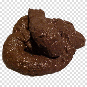 Poop PNG images free download