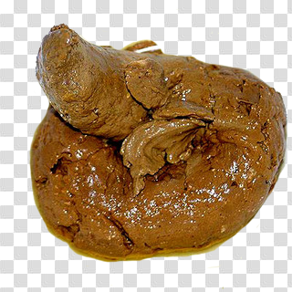 Poop PNG images free download