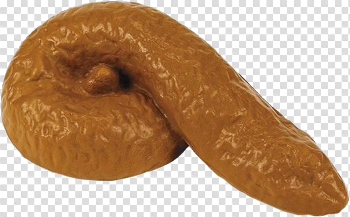 Poop PNG images free download