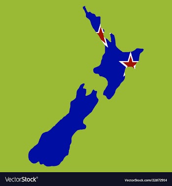 Pop art map of newzealand vector image