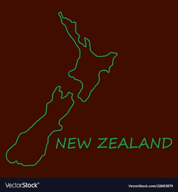 Pop art map of newzealand vector image