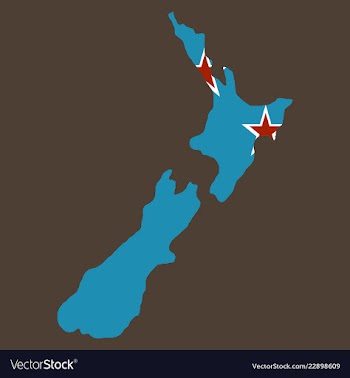 Pop art map of newzealand vector image