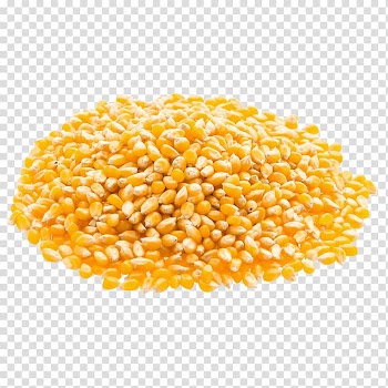 Popcorn Organic food Maize Cereal, corn transparent background PNG clipart