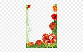Poppies Color Of Love - Mother's Day Png Frames