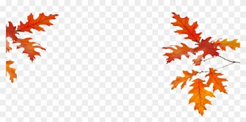 Poppies Hotel - Maple Leaf