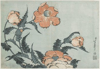 PoppiesOriginal from the Minneapolis Institute | Free Photo - rawpixel