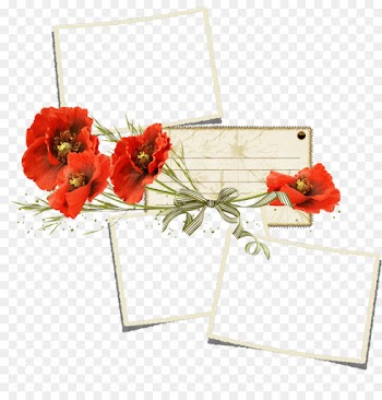Poppy, Desktop Wallpaper, Drawing, Flower, Plant PNG