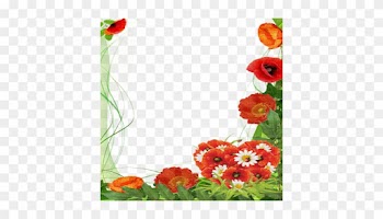 Poppy Flower Frame - Mother's Day Png Frames