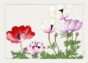 Poppy flower, Japanese woodblock art | Free Photo Illustration - rawpixel