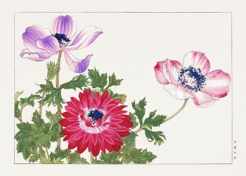 Poppy flower woodblock painting by Tanigami | Free Photo Illustration - rawpixel