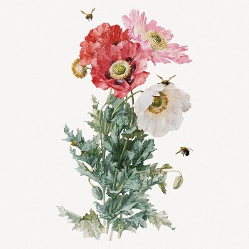 Poppy flowers collage element, aesthetic | Free PSD Illustration - rawpixel