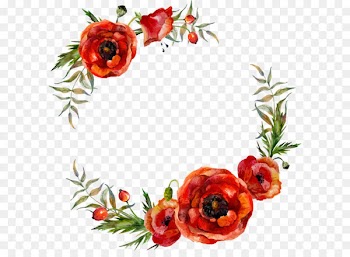 Poppy Flowers Illustration - Vector watercolor flower leaf decoration 