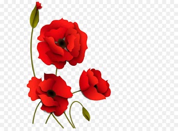 Poppy Flowers Paper - Three-dimensional red flowers 