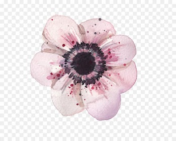 Poppy Flowers Watercolor painting Drawing - Flowers 