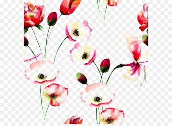 Poppy Flowers Watercolor painting Floral design - Beautiful watercolor flowers background 
