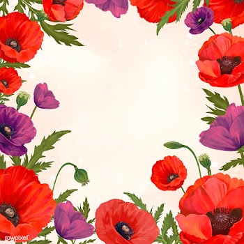 Poppy framed background | Free stock vector - 562836