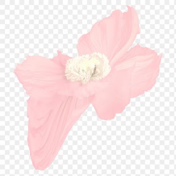 Poppy PNG flower sticker, pastel pink trippy… | Free stock illustration | High Resolution graphic