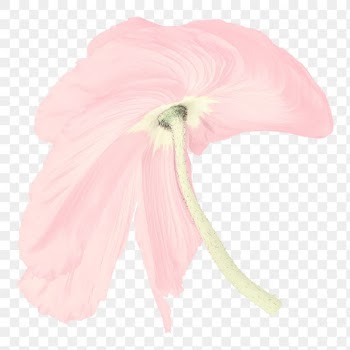 Poppy PNG flower sticker, pastel pink trippy… | Free stock illustration | High Resolution graphic