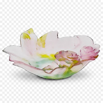 Porcelain Plate Saucer Tableware Vase -  