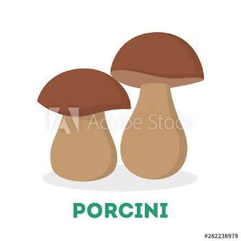 Porcini mushroom