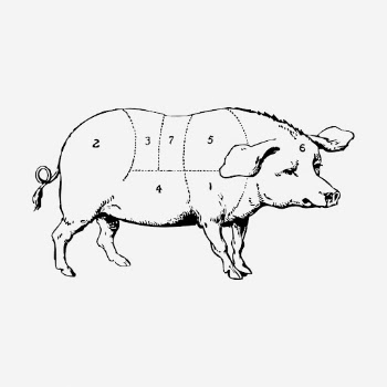 Pork diagram hand drawn illustration. | Free Photo - rawpixel