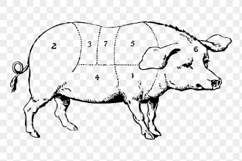 Pork diagram png sticker, pig | Free PNG - rawpixel