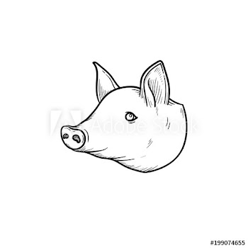 Pork meat hand drawn outline doodle icon