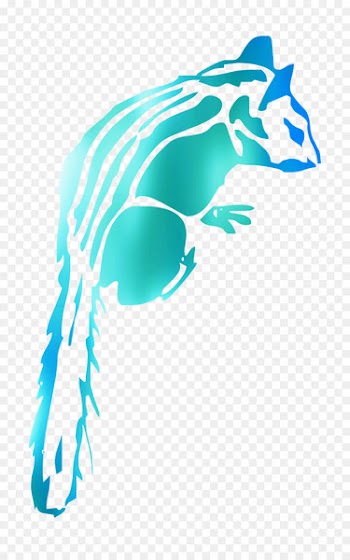Porpoise Illustration Whales Clip art Cetaceans -  