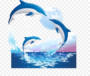 Porpoise Sticker Illustration - dolphin 